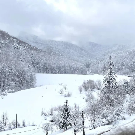 Nature View