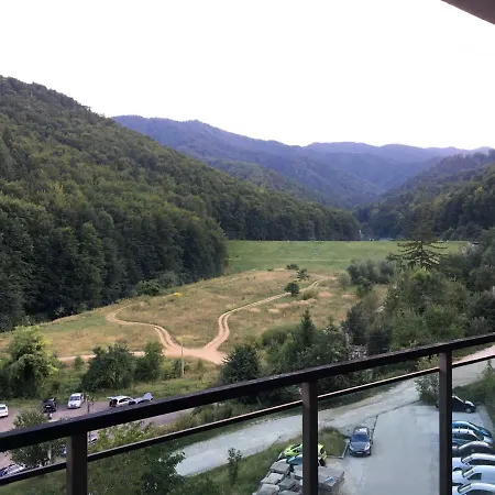 Nature View 브라쇼브